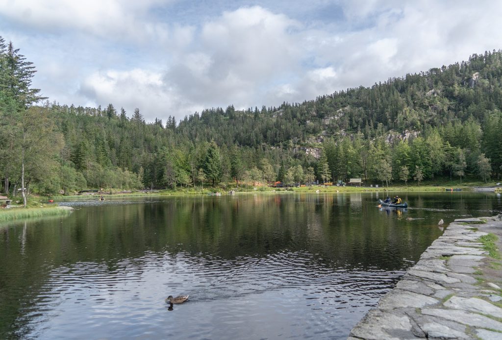 Lake in a forest outside Bergen
