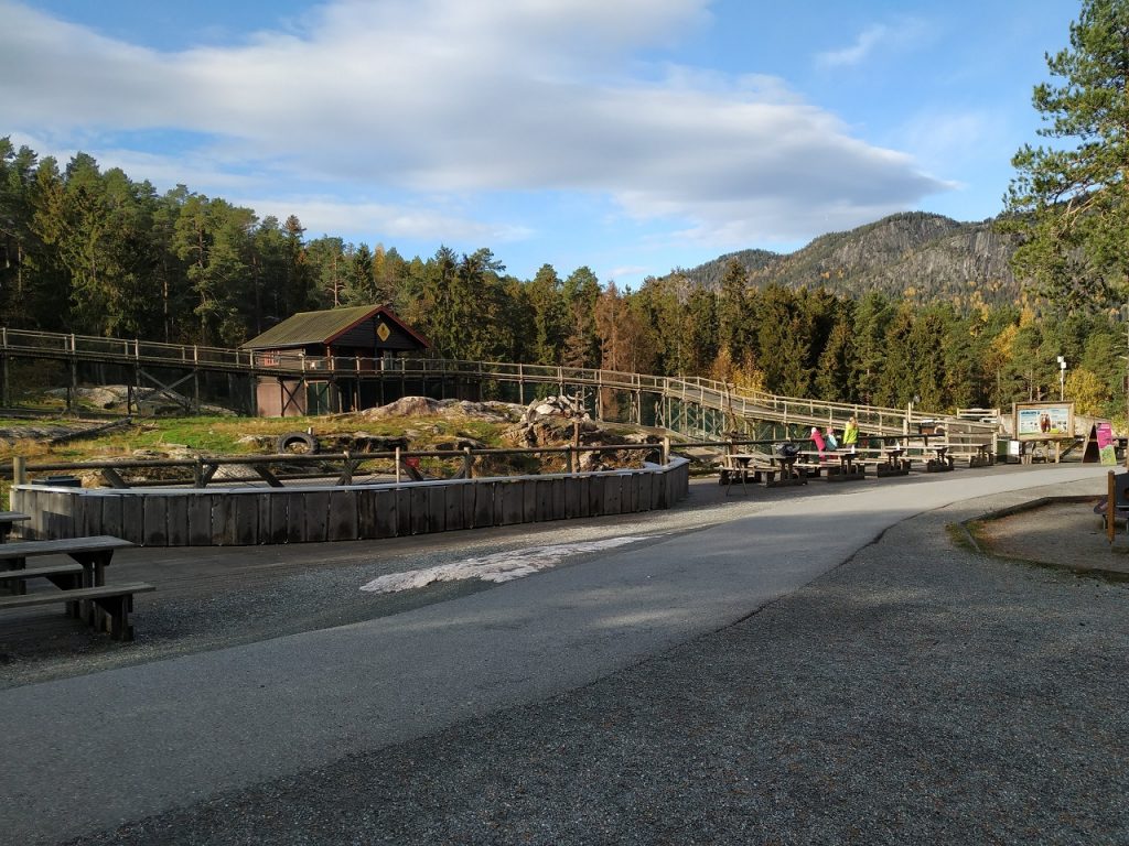 The brown bear feeding area in Bjørneparken