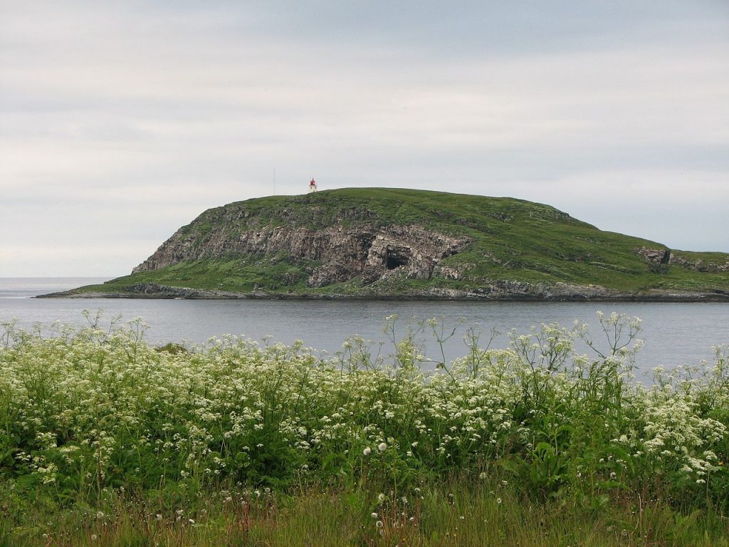 Hornøya is a small island home to over 10,000 breeding pairs of puffins